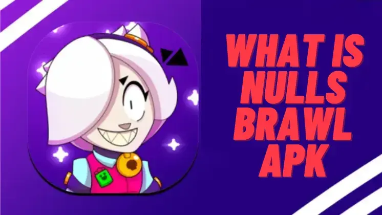 What is Null's Brawl?